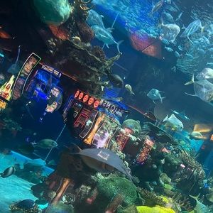 Meet your Posher, Jolson